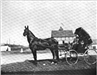 Historic Photos (Late 1800 to early to mid 1900) (19)