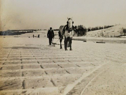 Historic Photos (Late 1800 to early to mid 1900) (26)