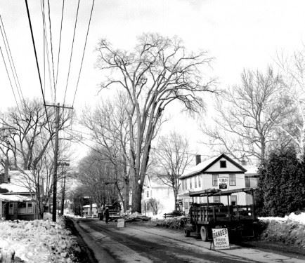 Homes of Waterville (2)